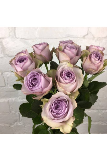 Букет з квітів троянди Луллабі